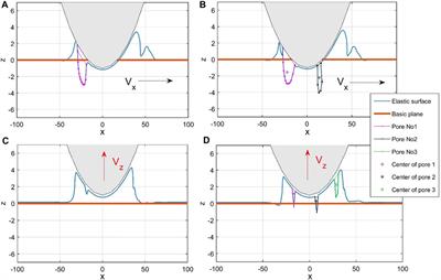 Propagation of elastic waves in adhesive contacts: experiment and numerical model